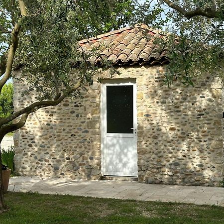 Maisonnette Independante Au Calme Dans Un Grand Jardin Châteauneuf-du-Rhône Exterior foto