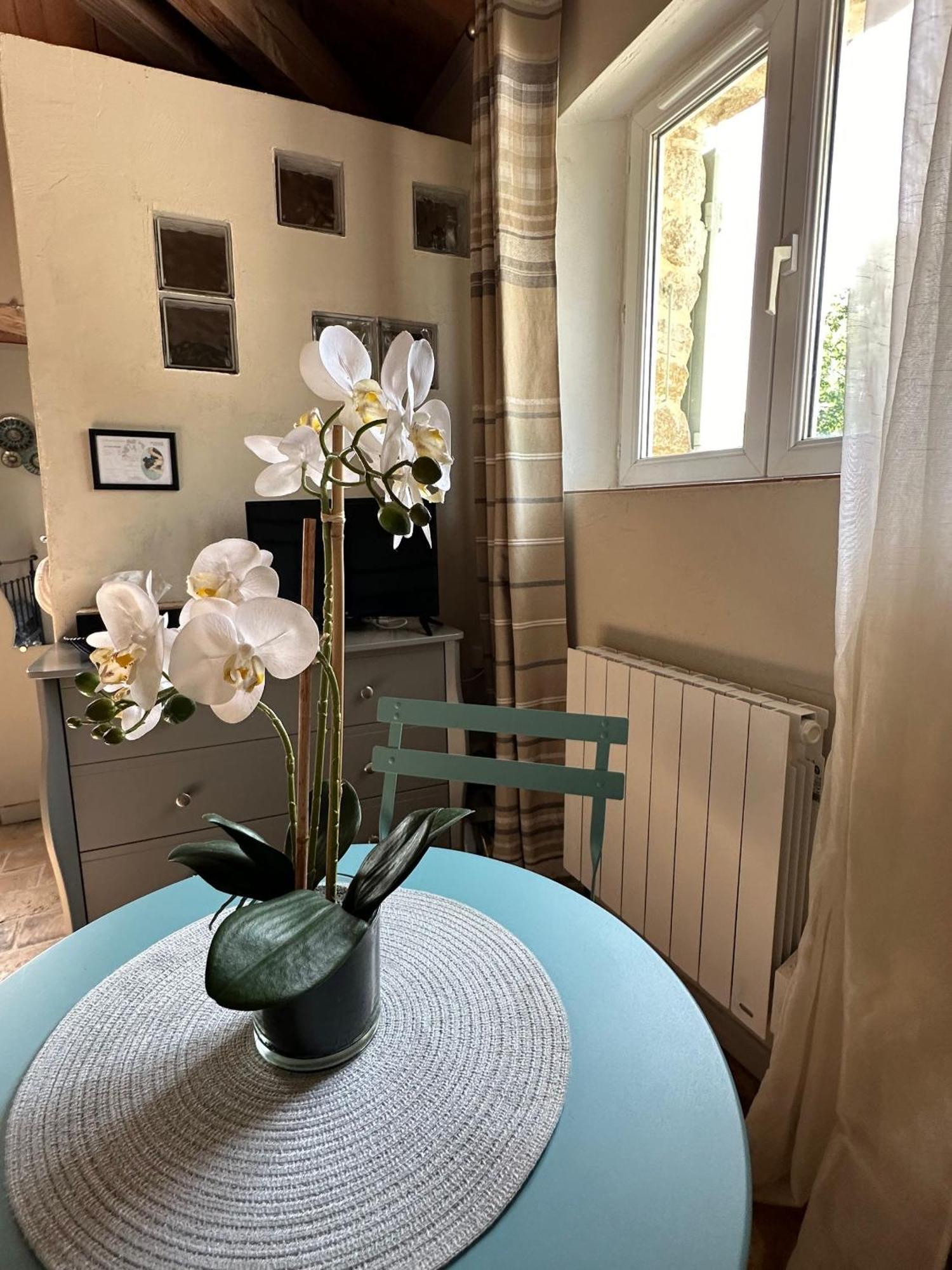 Maisonnette Independante Au Calme Dans Un Grand Jardin Châteauneuf-du-Rhône Exterior foto
