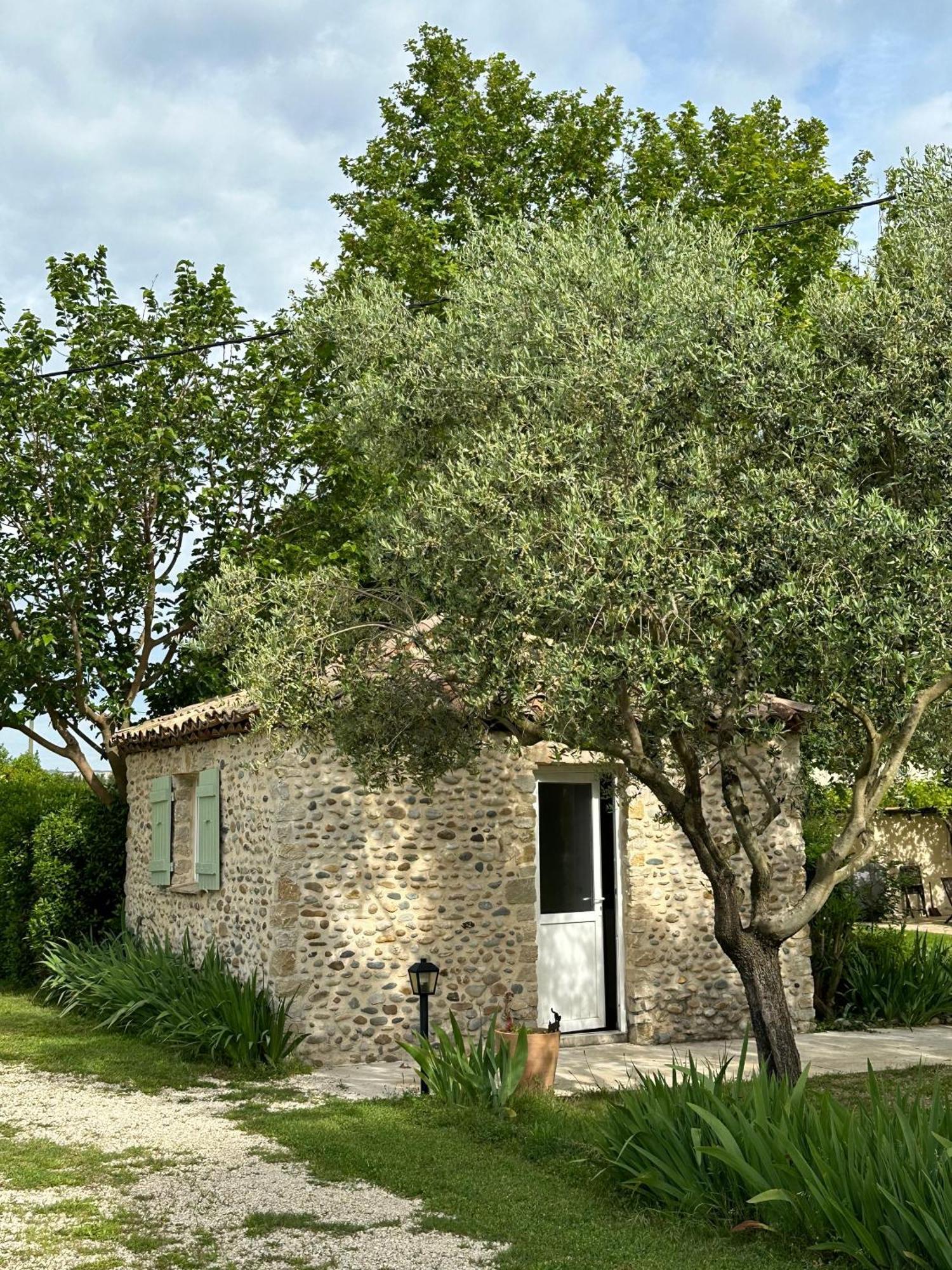 Maisonnette Independante Au Calme Dans Un Grand Jardin Châteauneuf-du-Rhône Exterior foto